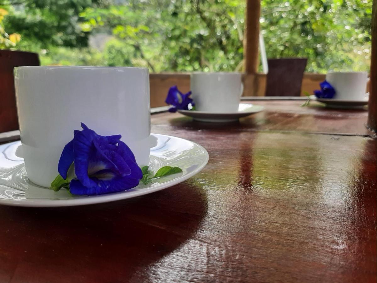 Kande Gedara Resort Monaragala Exterior foto